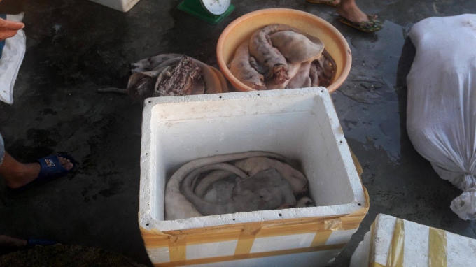 Đuôi bò đã chuyển màu và bốc mùi hôi khó chịu. Ảnh: Danh Tạo