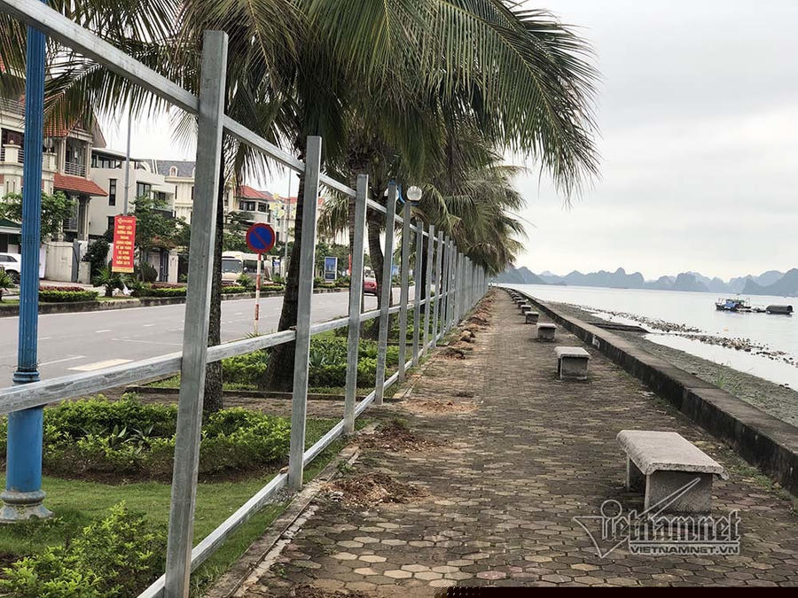 &nbsp;Khung sắt được dựng sẵn