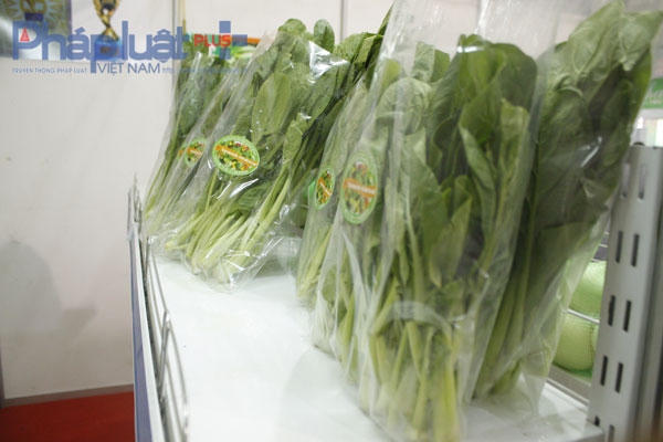 Người dân Thủ đô tìm