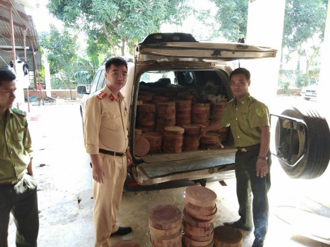 Số lượng thớt gỗ Nghiến được lực lượng chức năng bắt giữ.