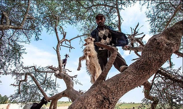 Sự thật cay đắng về điểm sống ảo thu h&uacute;t triệu du kh&aacute;ch