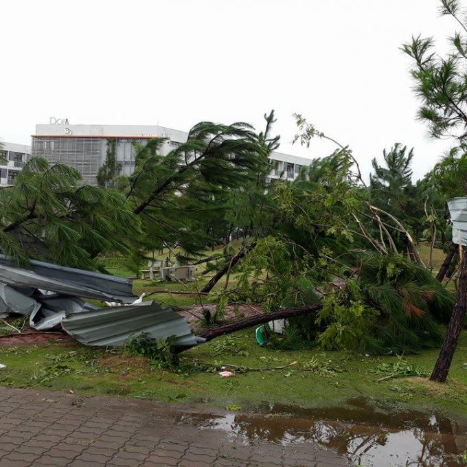 Nhiều miếng tôn còn vương vãi khắp khuôn viên.