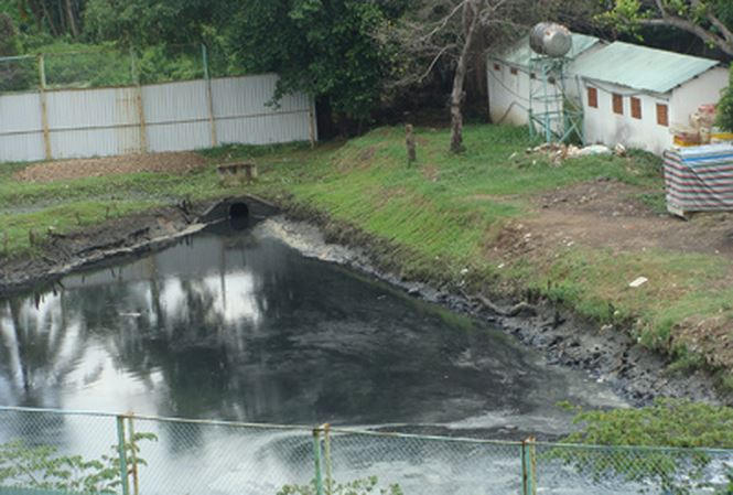 Hình minh họa. (Ảnh: báo Tiền phong)