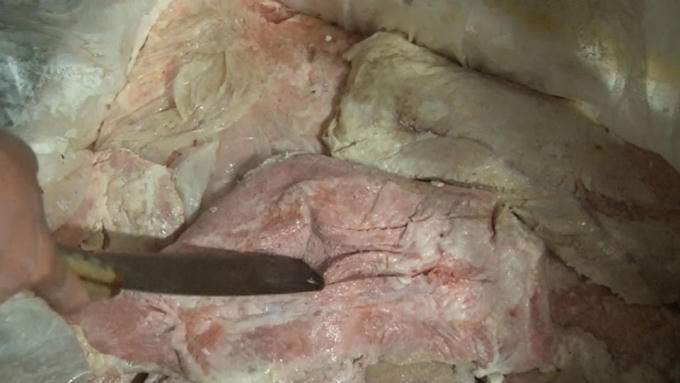 Gần 500kg nầm lợn đã chuyển màu và bốc mùi hôi thối.