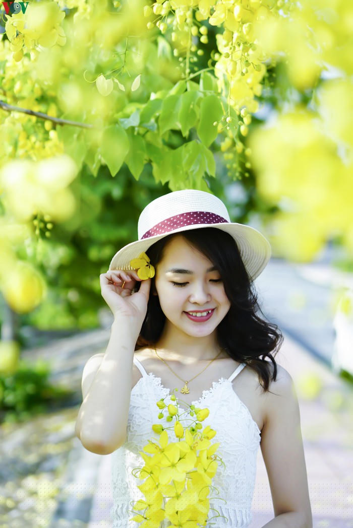 Ngắm Muồng Hoàng Yến rực vàng trên mảnh đất Điện Biên - Hình 10