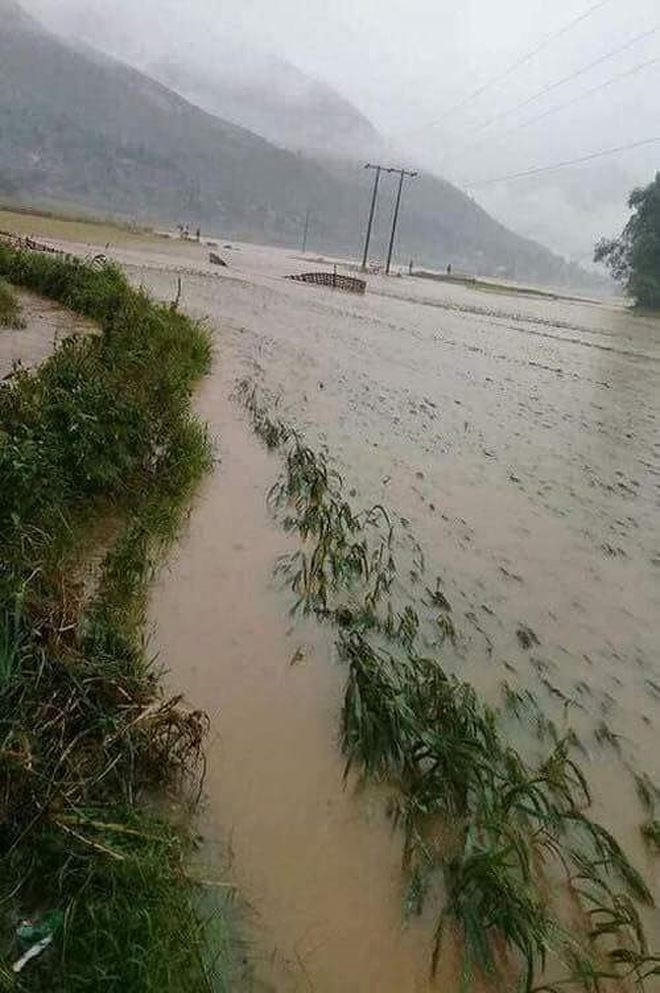 Lũ làm thiệt hại hàng ngàn ha hoa màu.