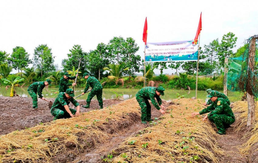 Mô hình “Vườn rau Thanh niên” được Chi đoàn Đồn Biên phòng Thạnh Trị duy trì và phát huy.