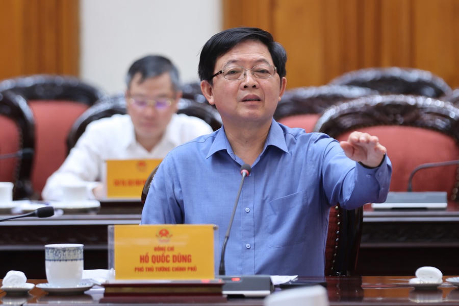 Phó Thủ tướng Hồ Quốc Dũng phát biểu.