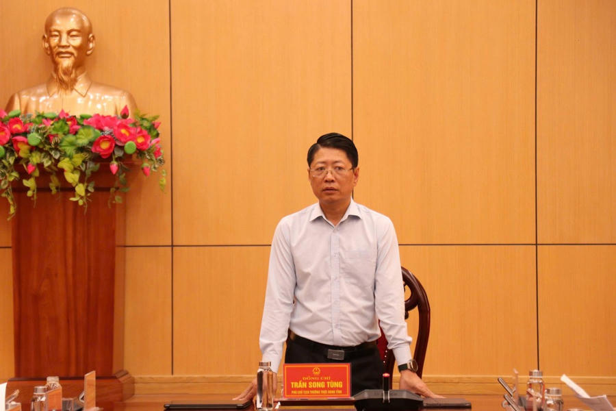 Ông Trần Song Tùng Ủy viên BTV Tỉnh ủy, Phó Chủ tịch Thường trực UBND tỉnh, phát biểu kết luận hội nghị.