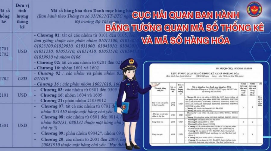 Cục Hải quan ban hành bảng tương quan mã số cho hoạt động tra cứu và thống kê hàng hóa. Ảnh CHQ