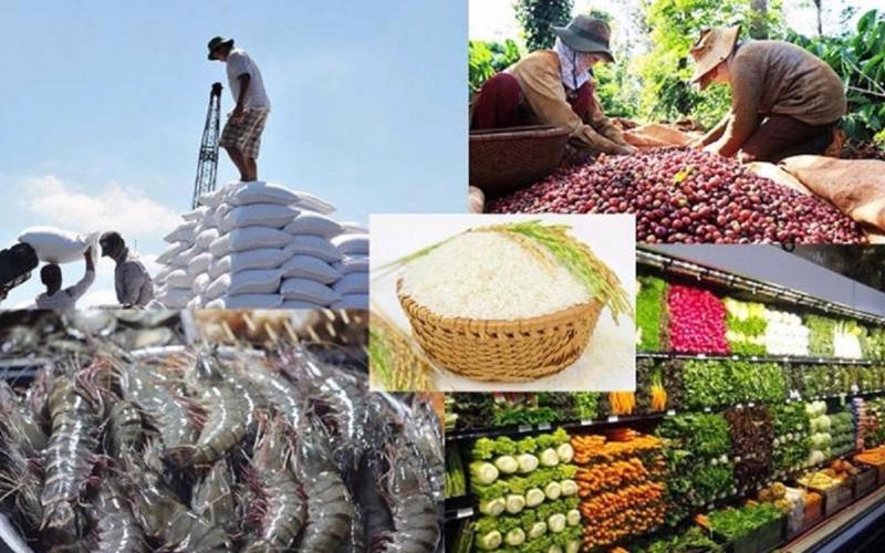 Phát triển hệ thống logistics sẽ giúp nông sản Việt giảm chi phí và tổn thất sau thu hoạch. Ảnh: VGP