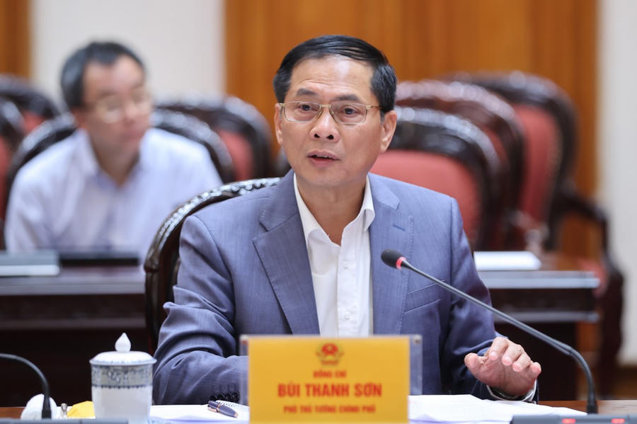 Phó Thủ tướng Bùi Thanh Sơn tại phiên họp.