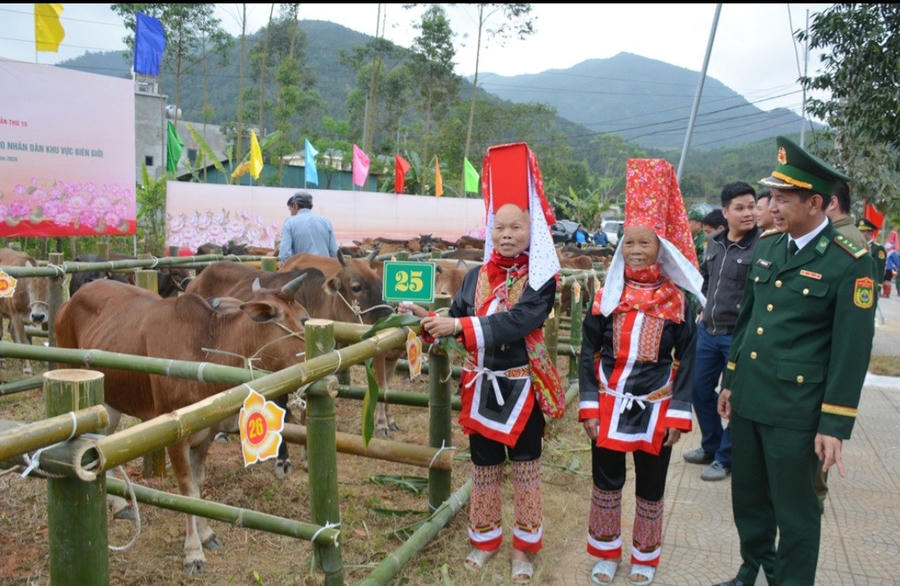 Người dân xã Hoành Mô nhận bò giống do Bộ đội Biên phòng trao tặng trong khuôn khổ Giao lưu hữu nghị quốc phòng biên giới Việt Nam – Trung Quốc lần thứ 10.