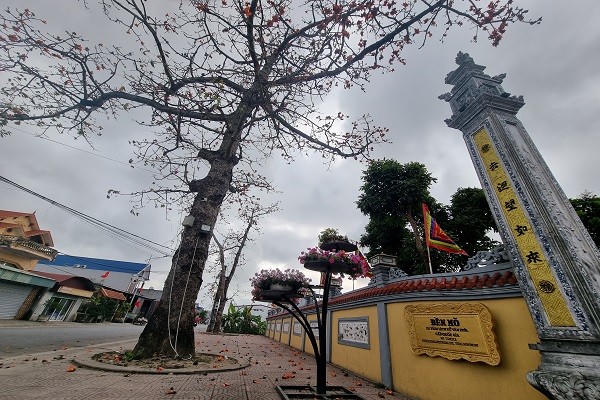 Xung quanh đền còn có 4 cây gạo khác đều là thế hệ con cháu của "cụ gạo đại thụ", cũng có tuổi đời hàng trăm năm.