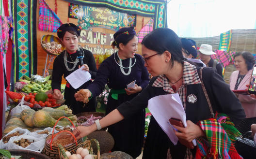 Bà Hoàng Thị Ngọc Hà, Giám đốc Trung tâm Phát triển Cộng đồng Sinh thái chấm thi gian hàng. Ảnh: ECODE