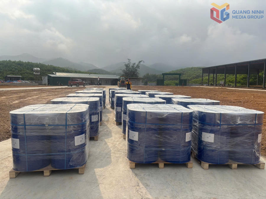 Lô tinh dầu quế 160 tấn của Công ty TNHH MTV Quế Ba Chẽ được đóng gói, sẵn sàng xuất khẩu sang thị trường Mỹ.