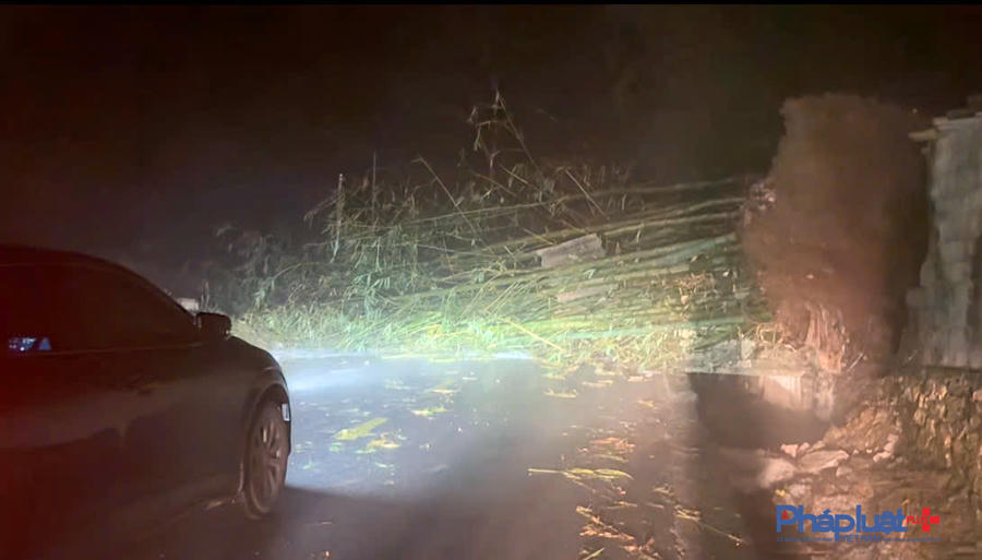 Giao thông tại tuyến đường quốc lộ 4C thuộc địa phận xã Lùng Tám bị ảnh hưởng do cây đổ chắn ngang đường. (Ảnh: Hoàng Chính).