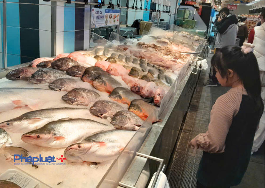 trong tháng 2/2026, kim ngạch xuất khẩu cá rô phi của Việt Nam đạt 8,4 triệu USD. (Ảnh: N. Trường).