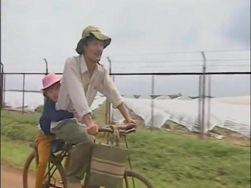 Một hình ảnh cảm động về tình cha trong phim Mẹ con Đậu Đũa. 