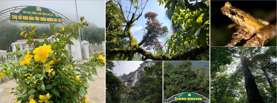 Chuyển hạng Khu bảo tồn thiên nhiên Bát Xát thành Vườn quốc gia Bát Xát. (Ảnh: Laocai.gov.vn).