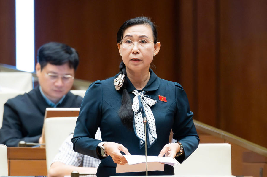 Bà Phan Thị Mỹ Dung.