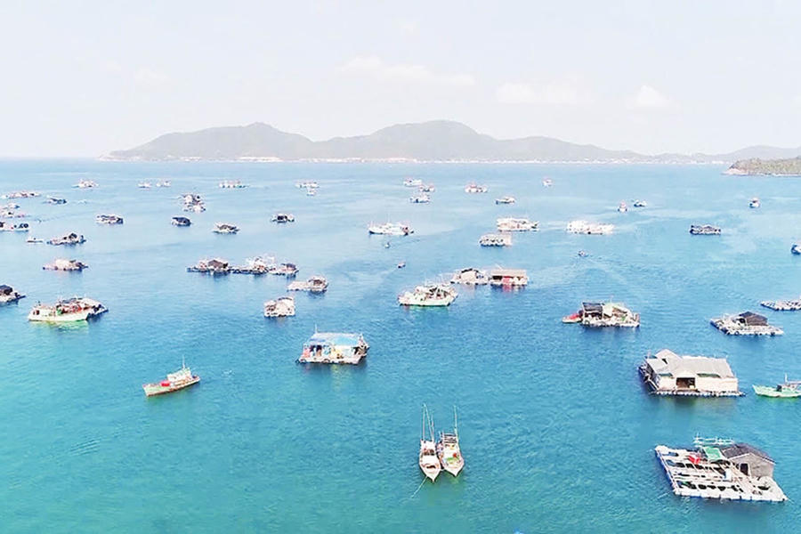 Nuôi cá lồng bè trên biển ở tỉnh An Giang. (Nguồn: Báo Nhân Dân)