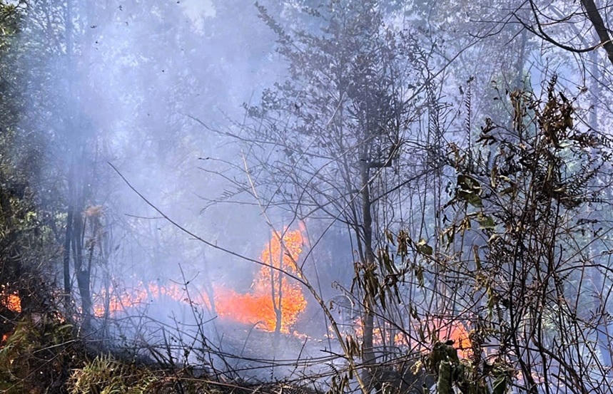 Một điểm cháy rừng tại địa bàn xã Tà Lèng, tỉnh Lai Châu.