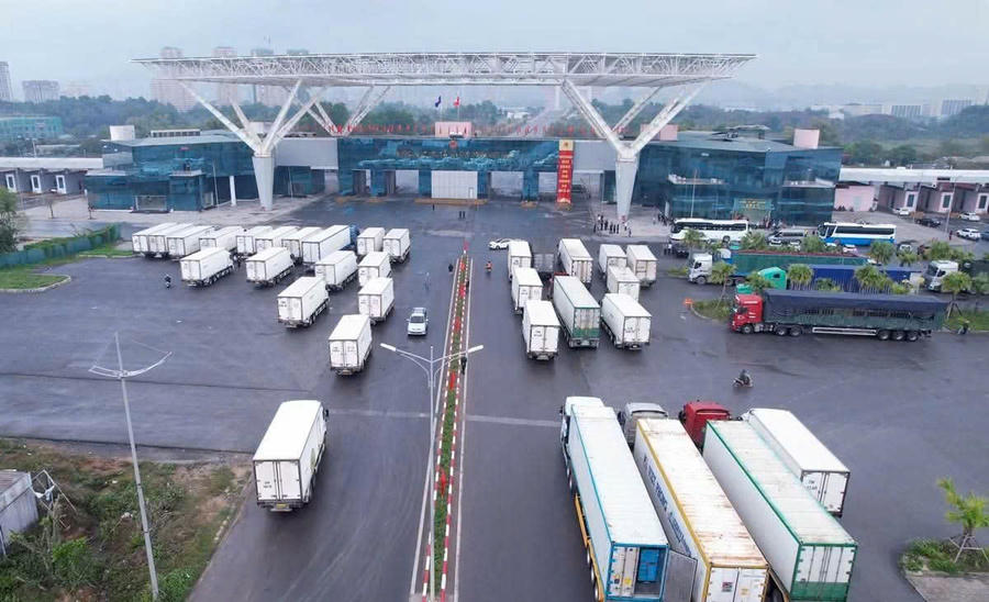 Hoạt động xuất nhập khẩu qua cửa khẩu quốc tế Móng Cái duy trì ổn định, đóng góp tích cực vào tăng trưởng thu ngân sách của Quảng Ninh trong quý I/2026. Hoạt động xuất nhập khẩu qua cửa khẩu quốc tế Móng Cái duy trì ổn định, đóng góp tích cực vào tăng trưởng thu ngân sách của Quảng Ninh trong quý I/2026.