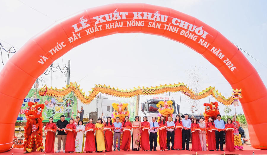 Các đại biểu thực hiện nghi thức cắt băng, phát lệnh xuất phát lô hàng chuối tươi xuất khẩu.