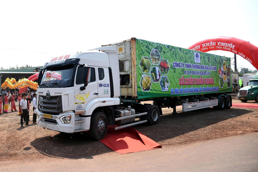 11 container chở chuối tươi Đồng Nai xuất khẩu sang các thị trường quốc tế.