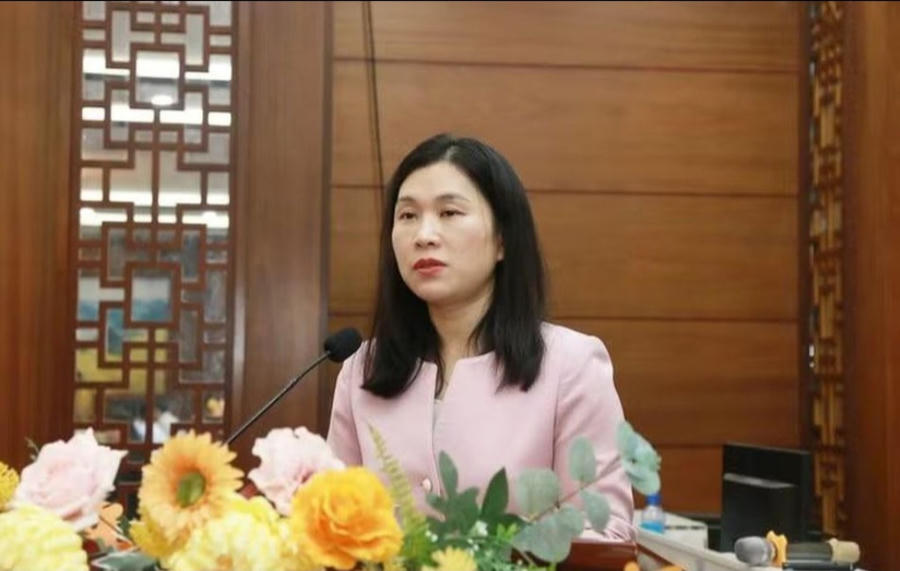 Bà Trần Thanh Nhàn, Phó Chủ tịch UBND tỉnh Lạng Sơn phát biểu tại hội thảo.