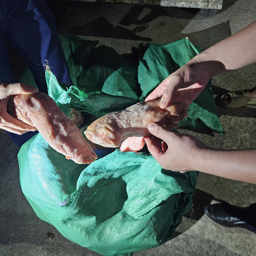 Tang vật bị lực lượng chức năng thu giữ.