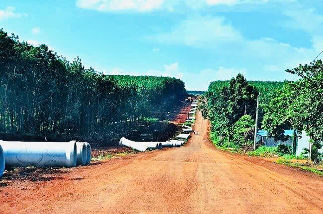 Đường giao thông phía Tây Quốc lộ 13 kết nối Chơn Thành - Hoa Lư.