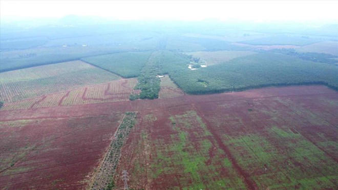 Cụm công nghiệp Long Giao gần sân bay Long Thành.