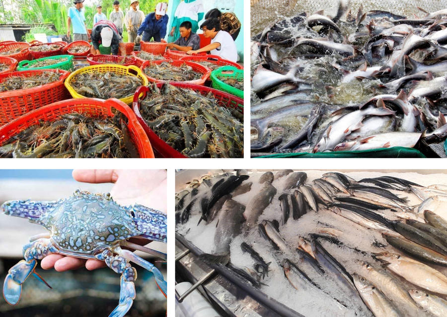 Tháng 3/2026, xuất khẩu thủy sản đạt khoảng 927 triệu USD, tăng hơn 5% so với cùng kỳ. Lũy kế quý I đạt 2,64 tỷ USD, tăng gần 8%.