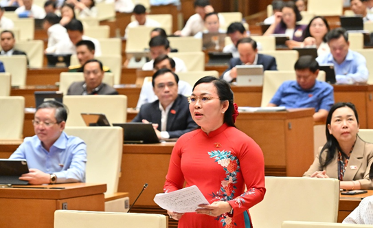 Đại biểu Lý Anh Thư - Phó Trưởng Đoàn đại biểu Quốc hội chuyên trách khóa XVI tỉnh An Giang, phát biểu tại Phiên thảo luận hội trường.