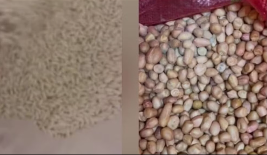 Nhiều túi lạc bị mốc và gạo sử dụng tại nhà trường. (Ảnh cắt từ video).