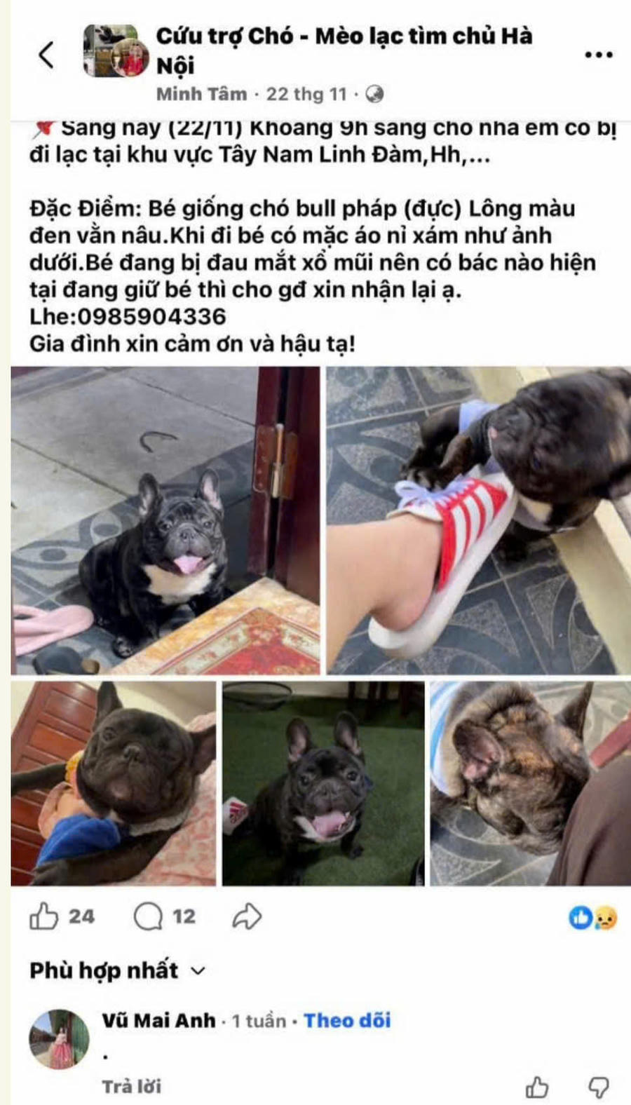 Thông tin tìm kiếm chó Pitbull Pháp bị lạc được Tâm đăng trên mạng vào ngày 22/11/2025.