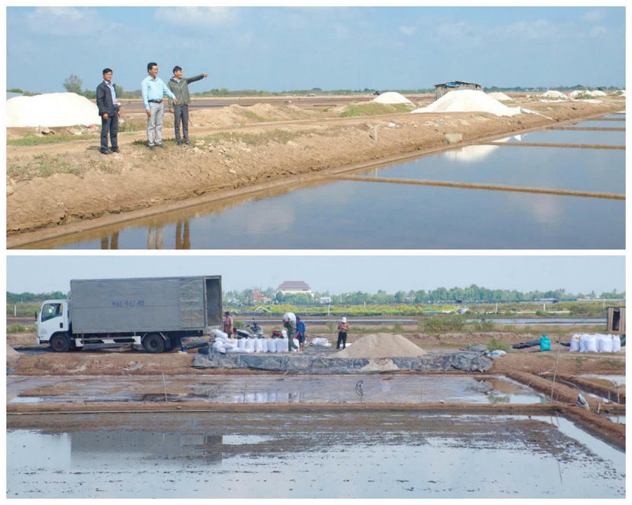 Ông Võ Văn Bửu - Chủ tịch UBND xã Đông Hải (thứ nhất, bên trái), cùng Văn phòng UBND xã và Phòng Kinh tế khảo sát và thu hoạch muối của diêm dân trên địa bàn ấp Bửu 2 và ấp Trường Điền.