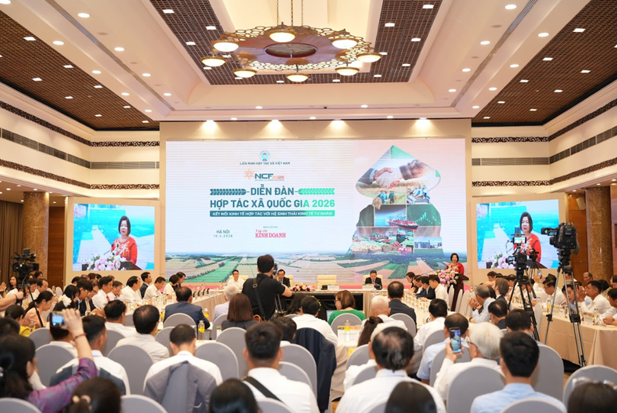 Quang cảnh chương trình.