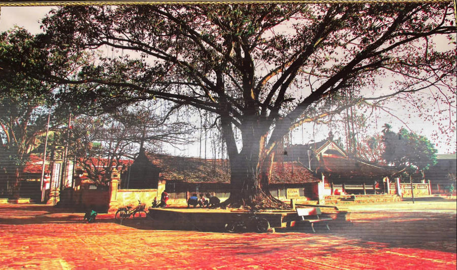 Theo người dân cung cấp, đây là hình ảnh di tích lúc chưa trùng tu, mang dáng dấp cổ kính của đình làng Việt đậm chất văn hóa truyền thống. Bức hình này được treo trong khu Di tích đình làng Hữu Bằng