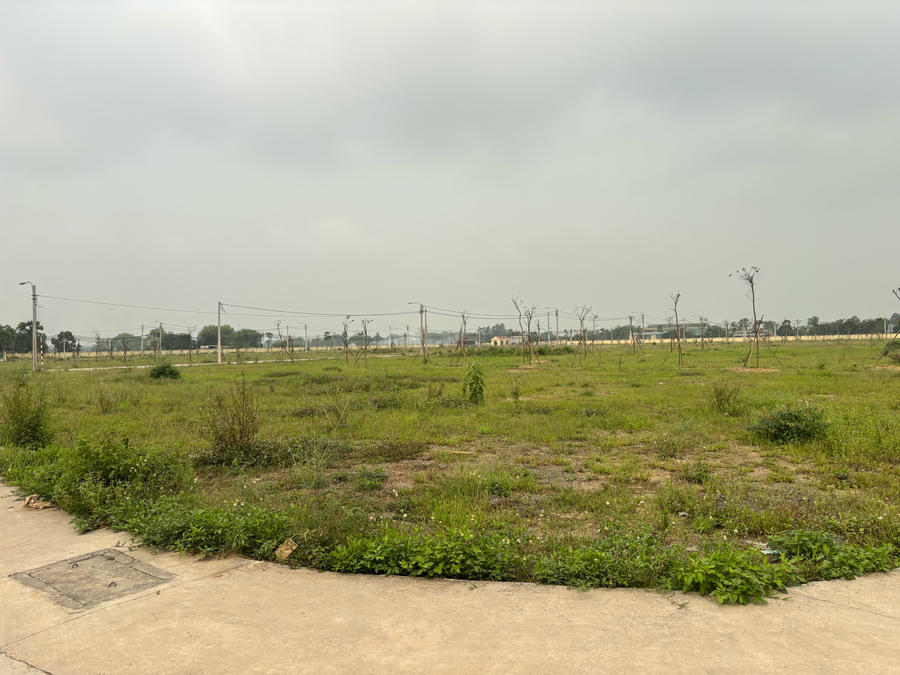 Cụm công nghiệp làng nghề Dị Nậu vẫn là khoảng đất trống chưa có cơ sở hạ tầng đi kèm.