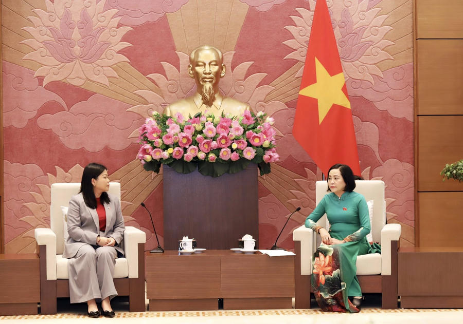 Phó Chủ tịch Quốc hội mong muốn Thanh niên và các thế hệ lãnh đạo trẻ cần tiếp tục khẳng định vai trò là cầu nối tin cậy, góp phần bồi đắp sự hiểu biết, củng cố niềm tin và tạo nền tảng xã hội vững chắc cho quan hệ Việt Nam - Australia trong thời gian tới.