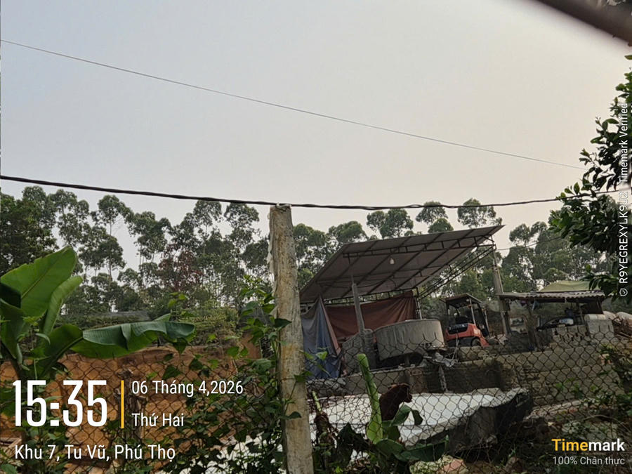 Cối trộn bê tông được lắp đặt xây dựng và hoạt động trái phép trên đất rừng sản xuất chưa được chuyển đổi mục đích sử dụng mặc dù có lệnh dừng hoạt động, yêu cầu tháo dỡ nhưng chủ đầu tư vẫn coi thường lén lút hoạt động.