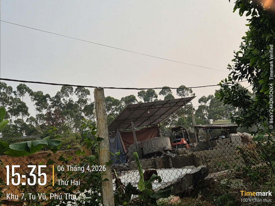 Cối trộn bê tông được lắp đặt xây dựng và hoạt động trái phép trên đất rừng sản xuất chưa được chuyển đổi mục đích sử dụng đất.