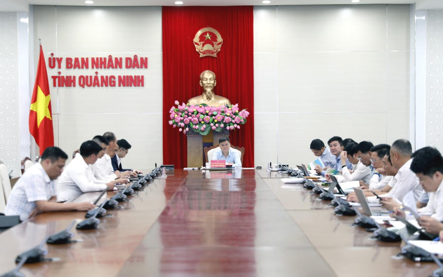 Quang cảnh cuộc họp. Quang cảnh cuộc họp.