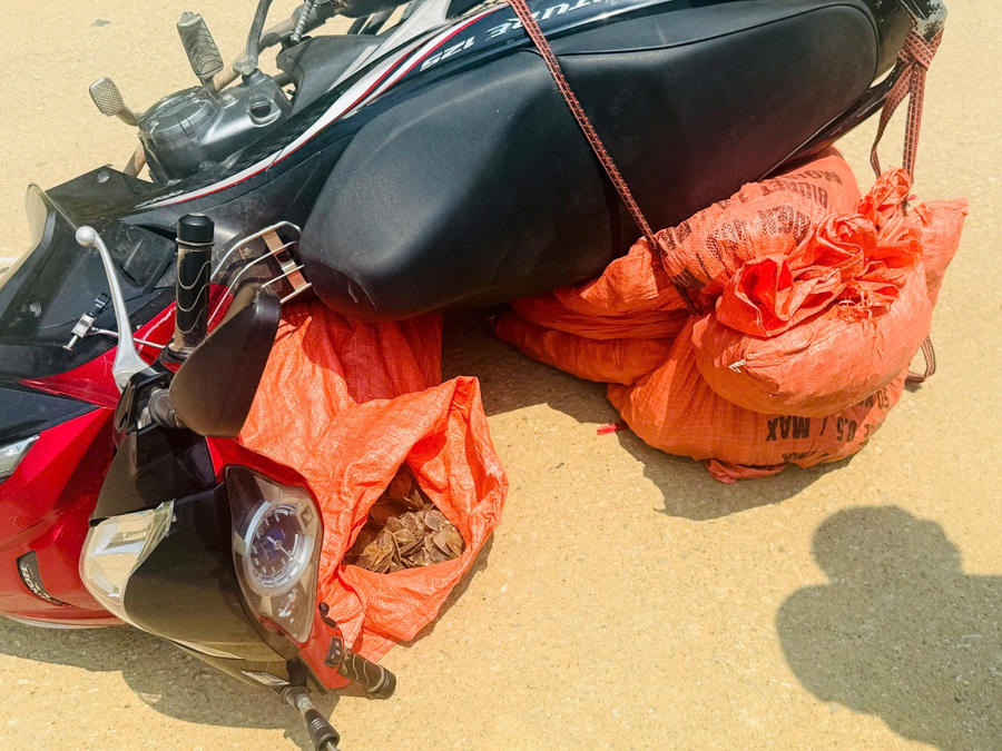 Tang vật bị lực lượng chức năng thu giữ. Ảnh: Cục Hải quan