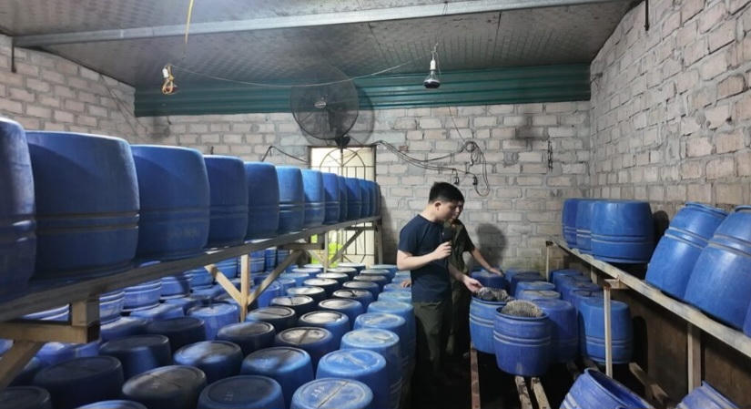 Bên trong xưởng sản xuất giá đỗ trái phép, hàng trăm thùng ủ được bố trí trong điều kiện chật hẹp, ẩm thấp.