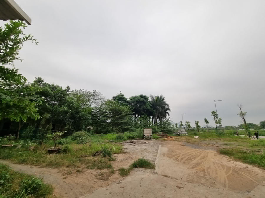 Dự án chưa có dấu hiệu triển khai công trình xây dựng.