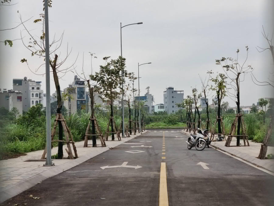 Dự án đã triển khai một số công trình hạ tầng như cây xanh, đường và hệ thống chiếu sáng.